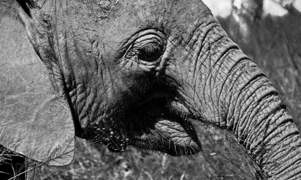 Gear Review Mountain Equipment Dreamcatcher 750 Sleeping Bag Lacey.Camera